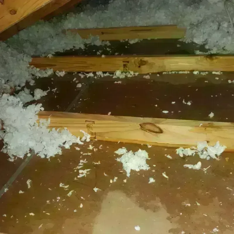 Attic Water Damage in Gardena, CA