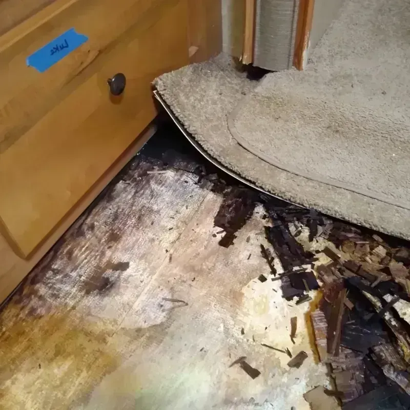 Best Wood Floor Water Damage Service in Gardena, CA